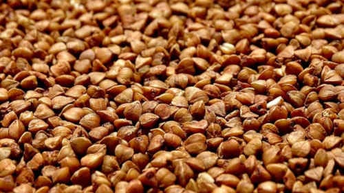 oreillers en sarrasin bio - graines de sarrasin