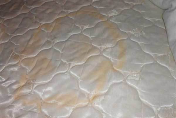 Comment Nettoyer Un Matelas Tache D Urine Les Matelas Fr