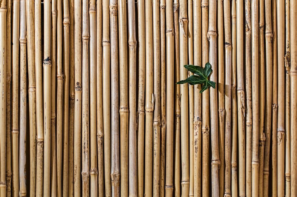 bamboo gc82f68d5f 1280