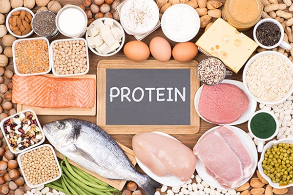 Aliments-riches-en-Proteine