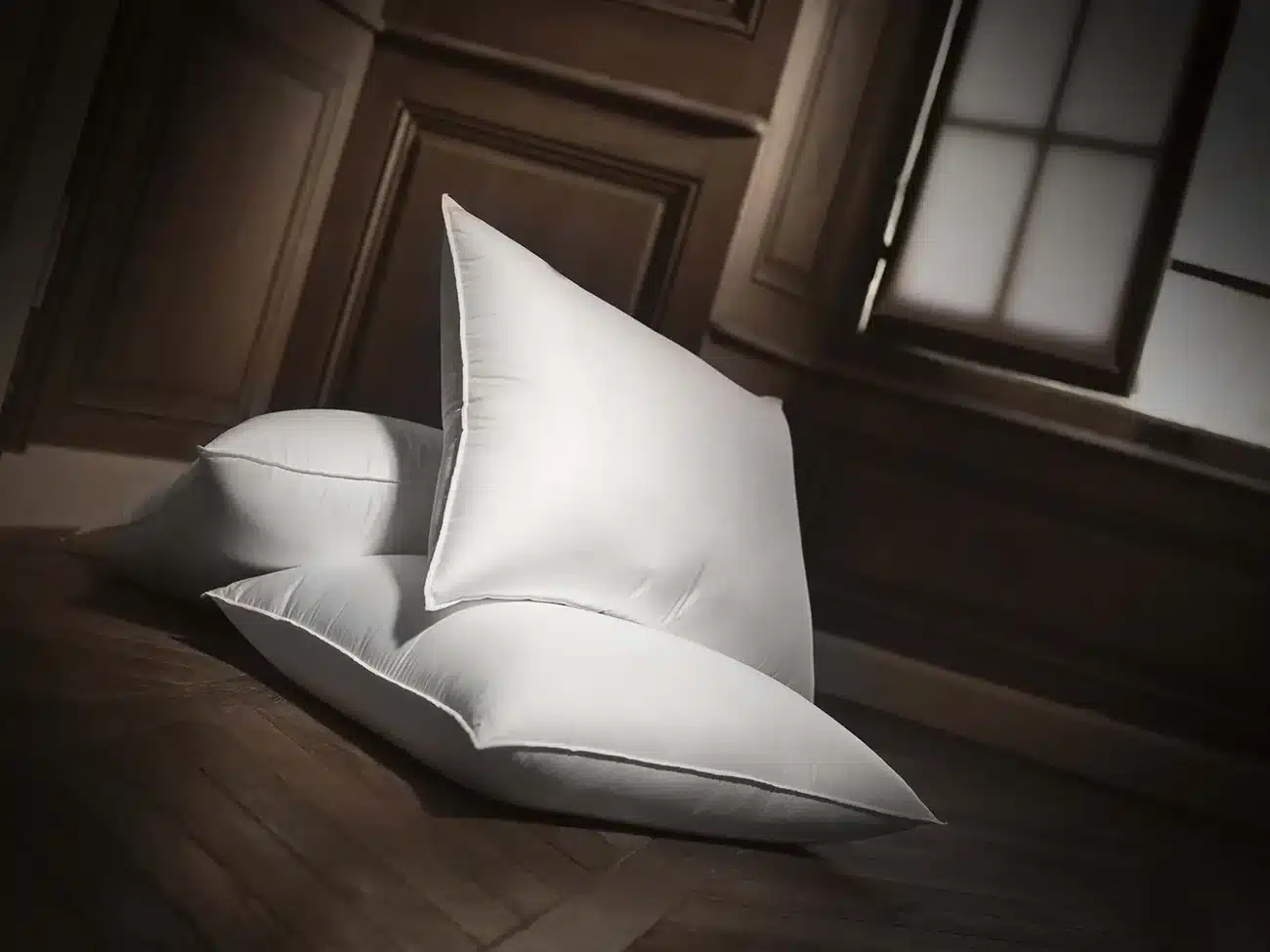 Oreiller Dumas Paris